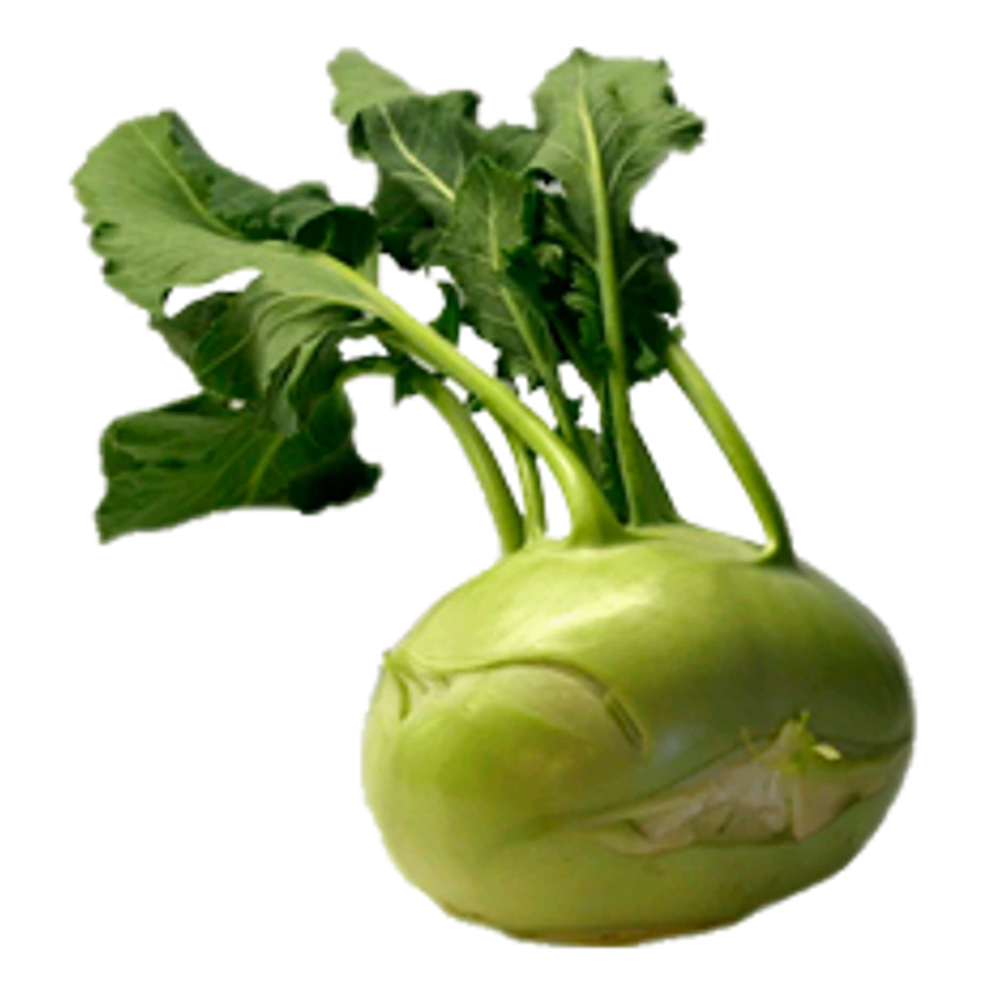 Karalábé magyar