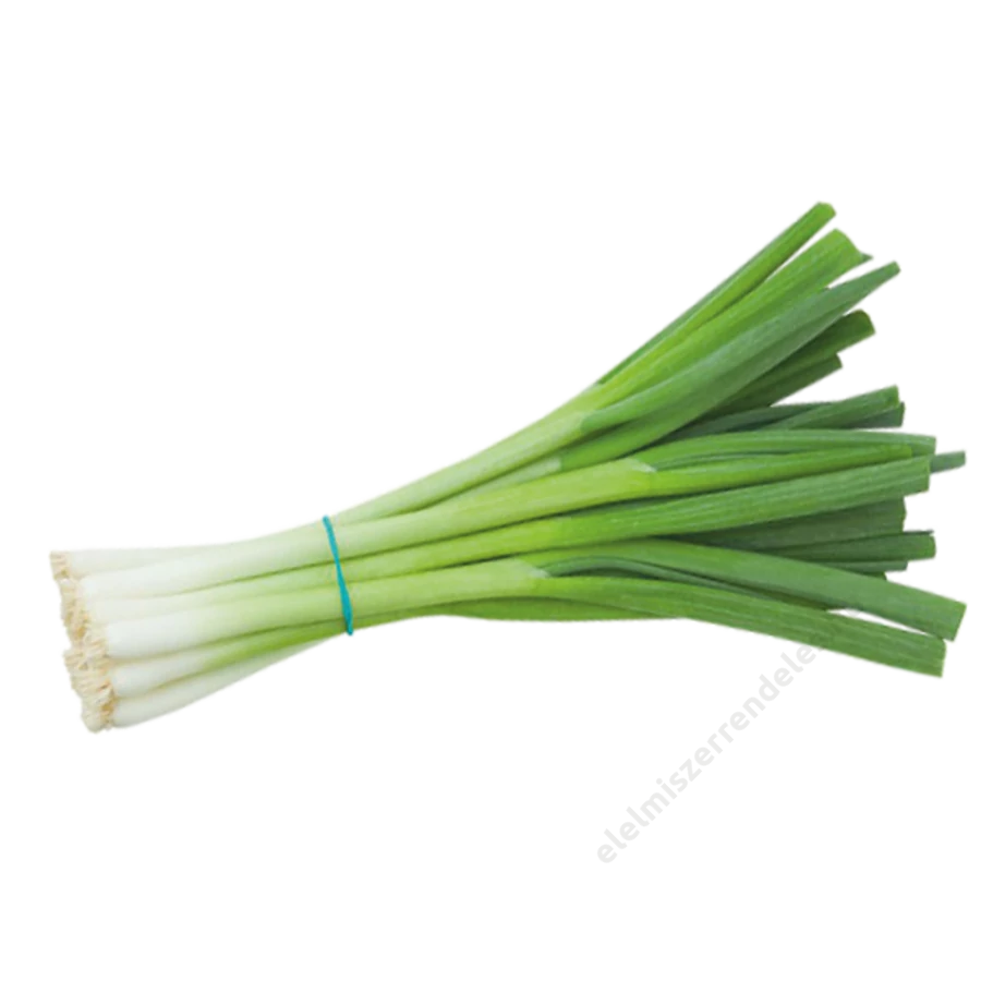 Zöldhagyma