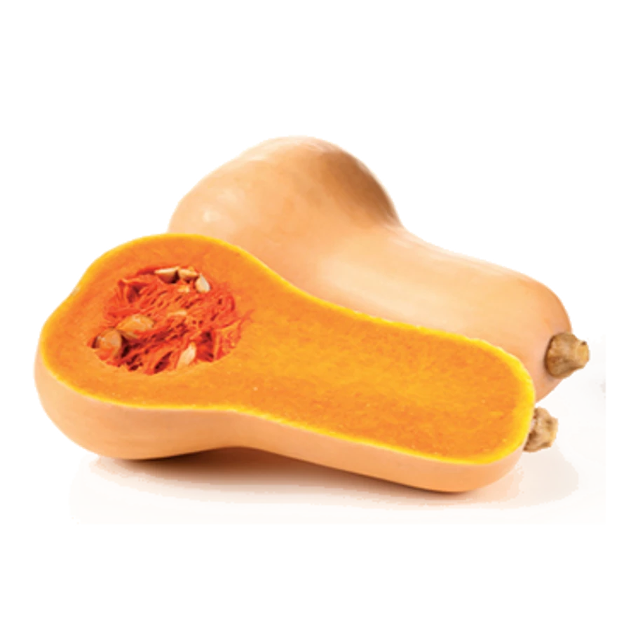 Sütőtök